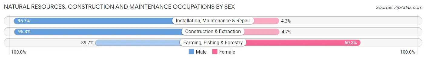 Natural Resources, Construction and Maintenance Occupations by Sex in Port Charlotte
