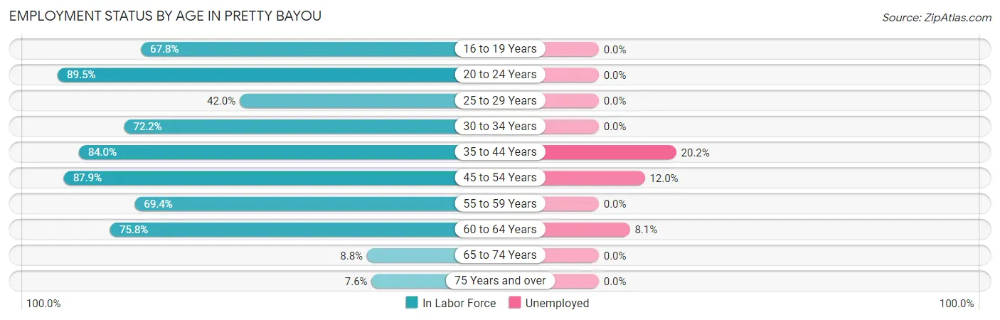 Employment Status by Age in Pretty Bayou