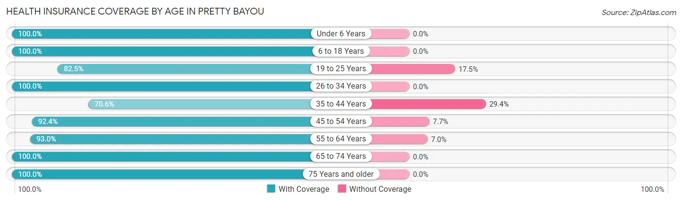 Health Insurance Coverage by Age in Pretty Bayou