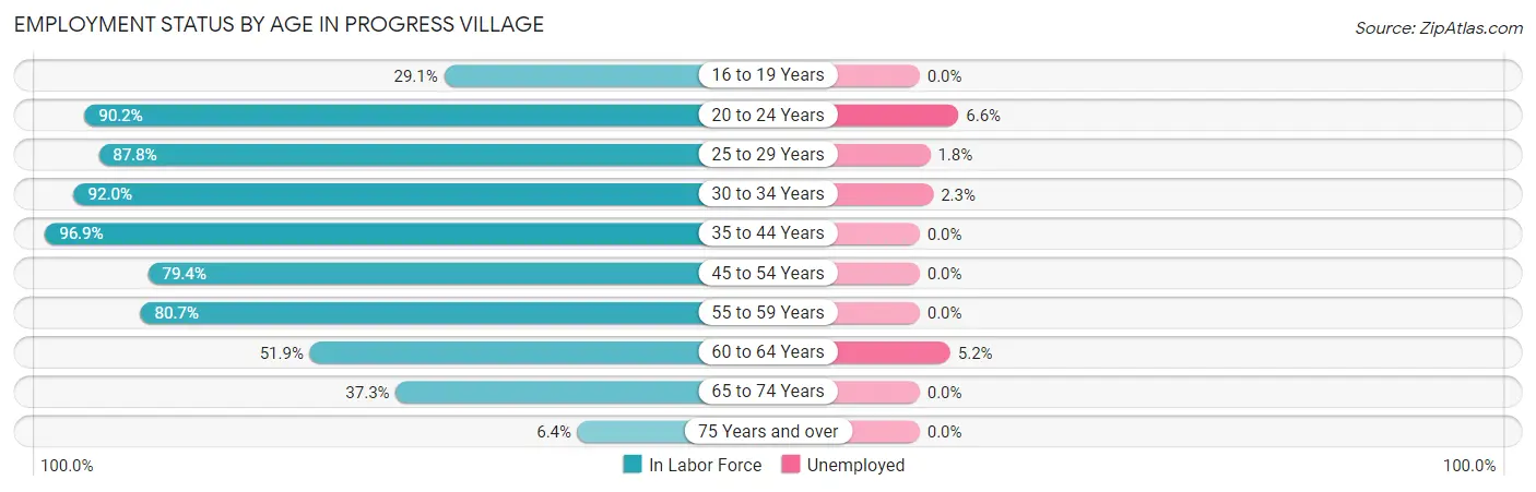 Employment Status by Age in Progress Village