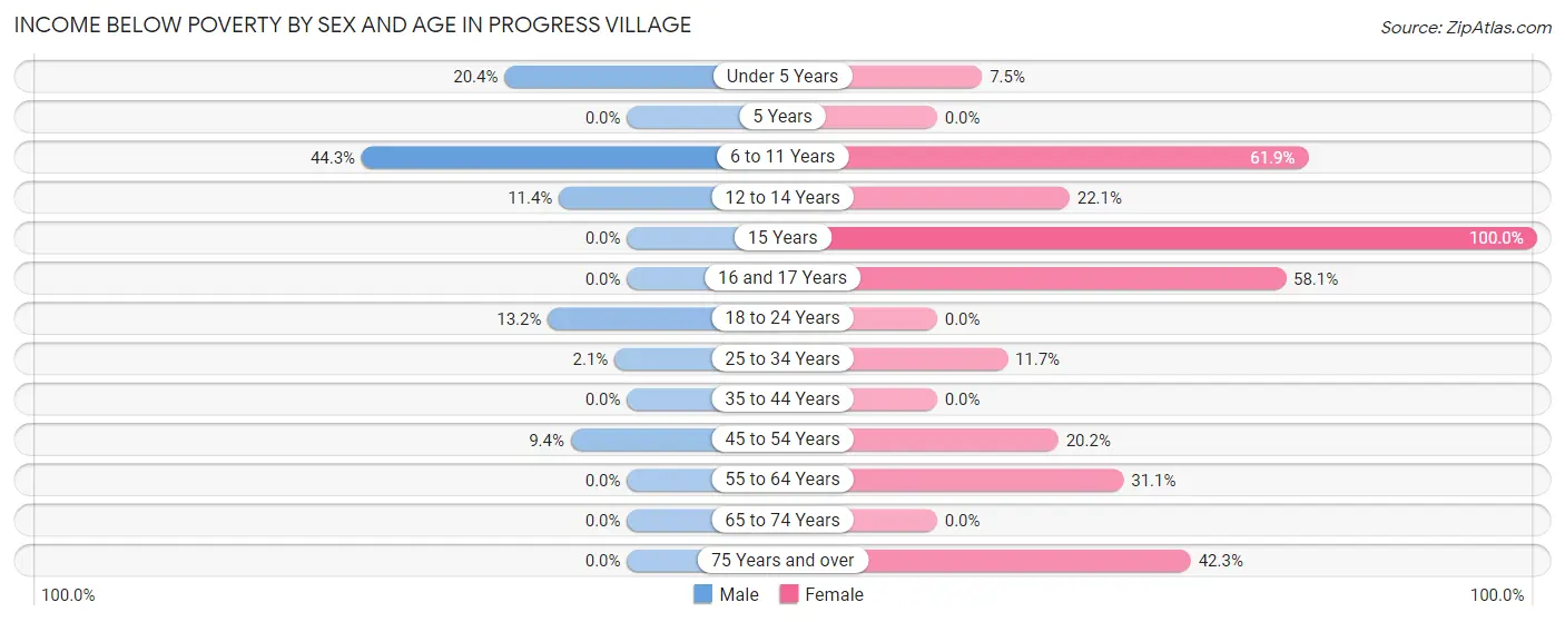 Income Below Poverty by Sex and Age in Progress Village