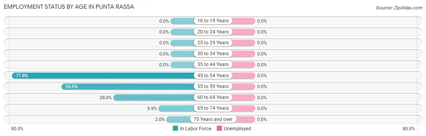 Employment Status by Age in Punta Rassa