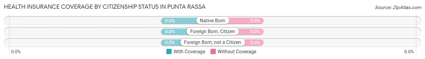 Health Insurance Coverage by Citizenship Status in Punta Rassa