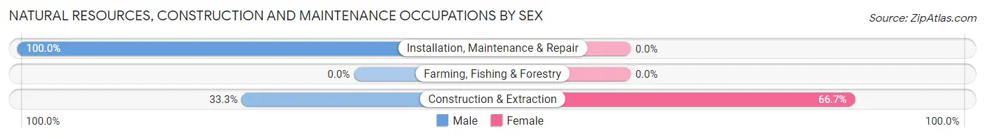 Natural Resources, Construction and Maintenance Occupations by Sex in Rainbow Lakes Estates
