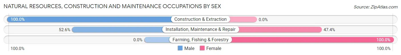 Natural Resources, Construction and Maintenance Occupations by Sex in Richmond Heights