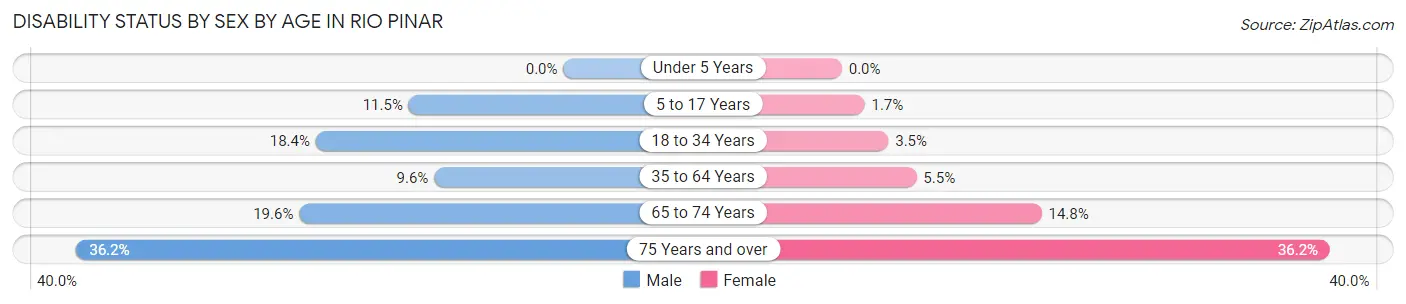 Disability Status by Sex by Age in Rio Pinar