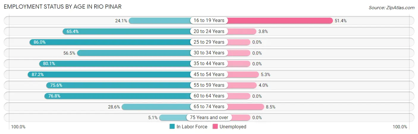 Employment Status by Age in Rio Pinar