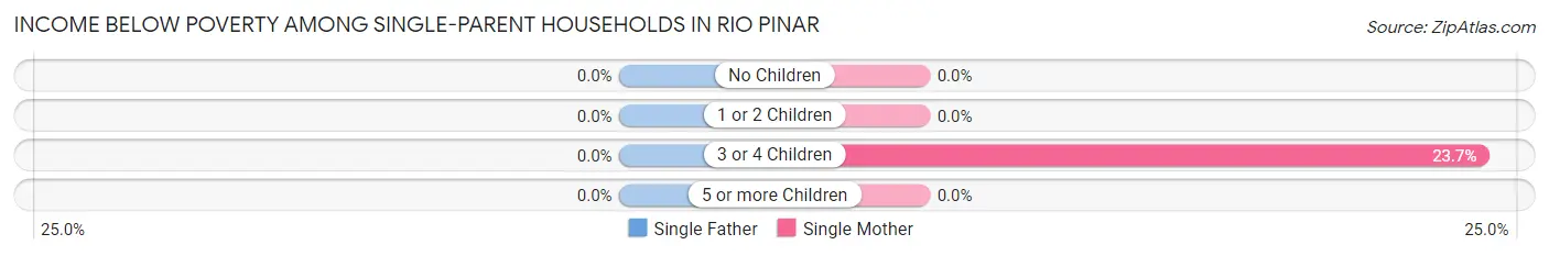 Income Below Poverty Among Single-Parent Households in Rio Pinar