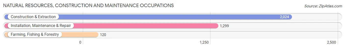 Natural Resources, Construction and Maintenance Occupations in Riverview