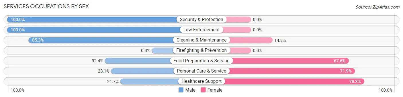 Services Occupations by Sex in Rotonda