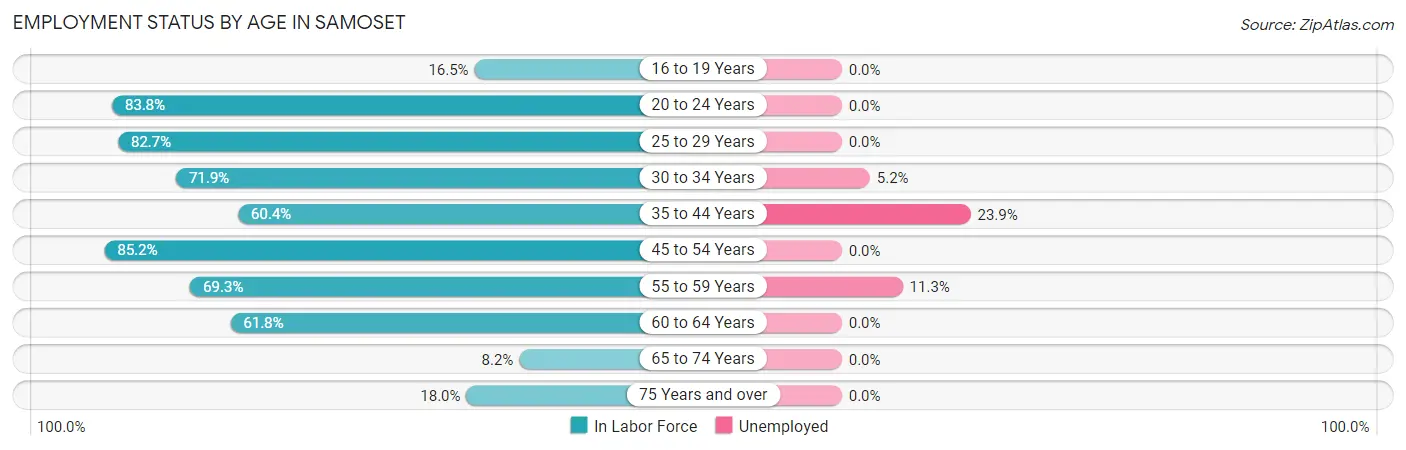 Employment Status by Age in Samoset