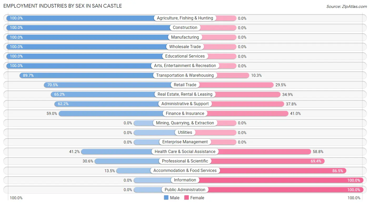 Employment Industries by Sex in San Castle