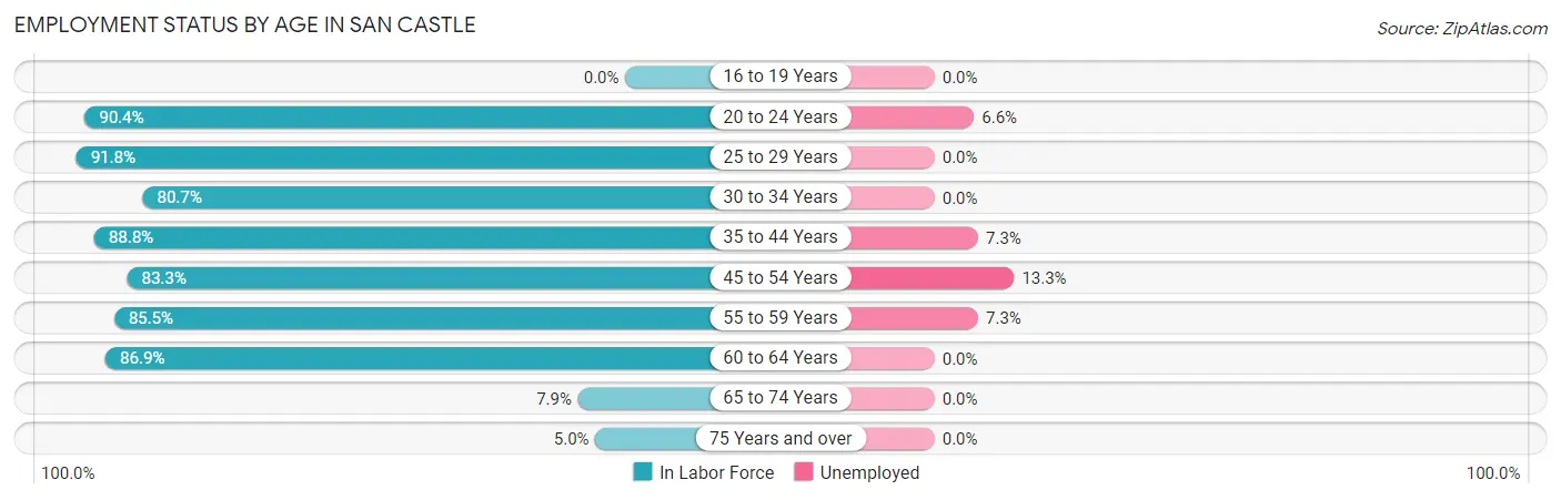 Employment Status by Age in San Castle