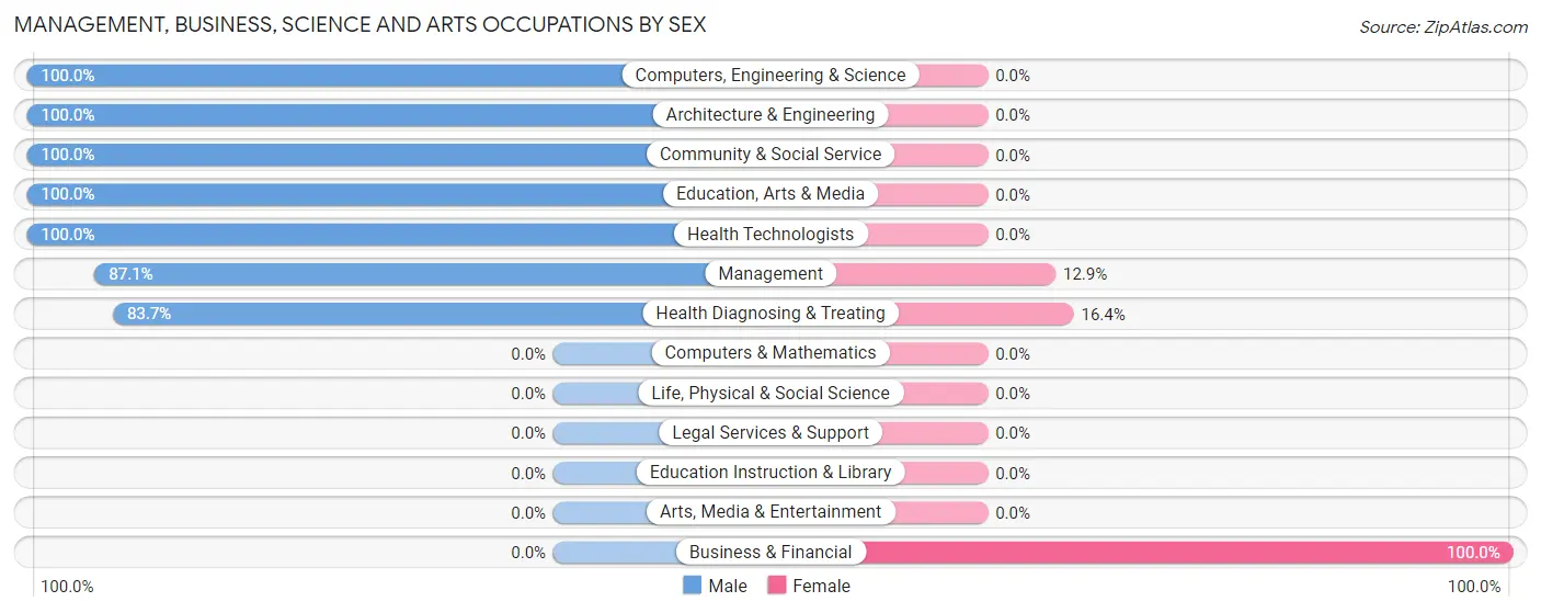 Management, Business, Science and Arts Occupations by Sex in San Castle