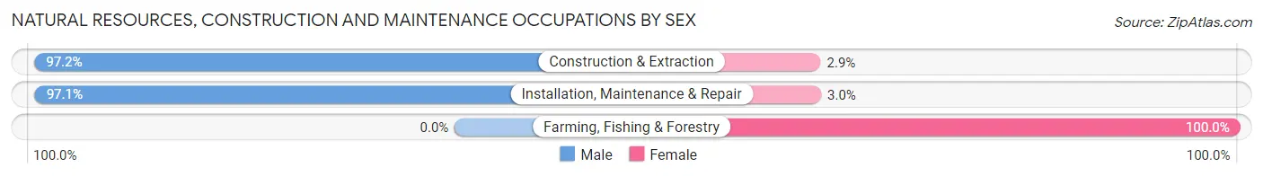Natural Resources, Construction and Maintenance Occupations by Sex in Sarasota Springs