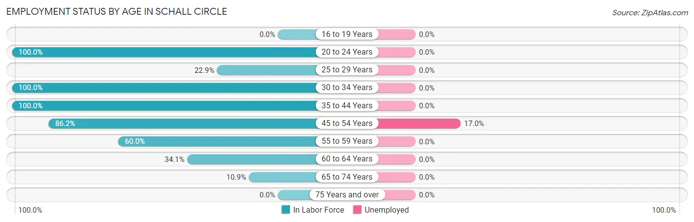Employment Status by Age in Schall Circle