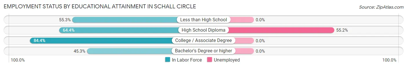 Employment Status by Educational Attainment in Schall Circle