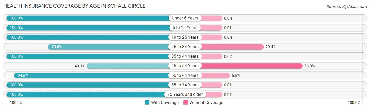 Health Insurance Coverage by Age in Schall Circle