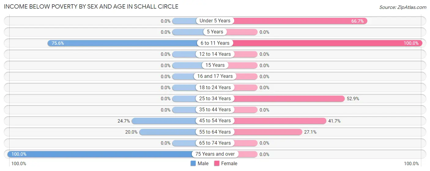 Income Below Poverty by Sex and Age in Schall Circle