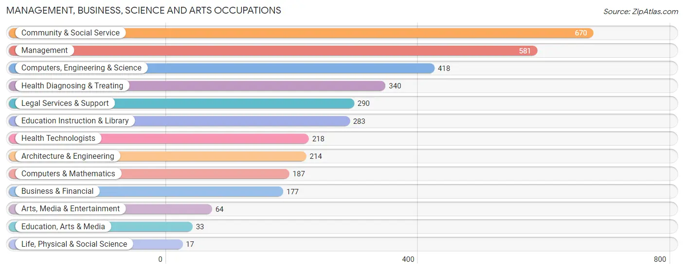 Management, Business, Science and Arts Occupations in Seffner