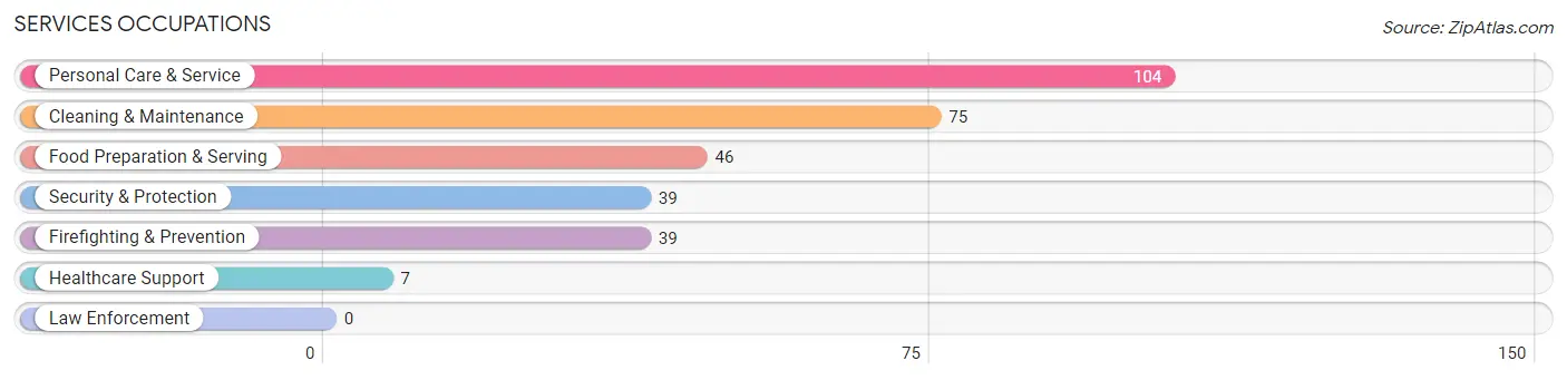 Services Occupations in Seffner