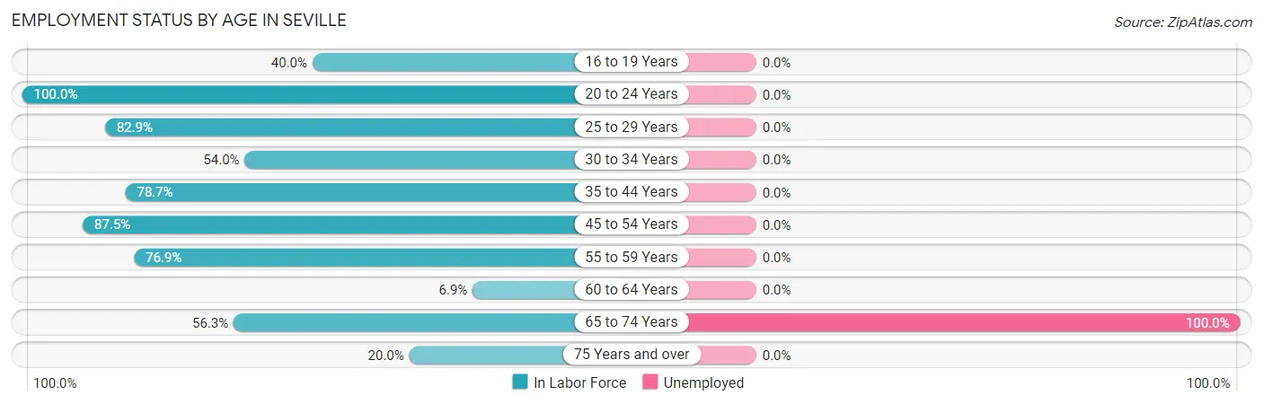 Employment Status by Age in Seville
