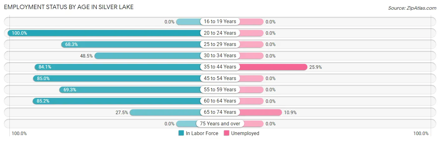 Employment Status by Age in Silver Lake