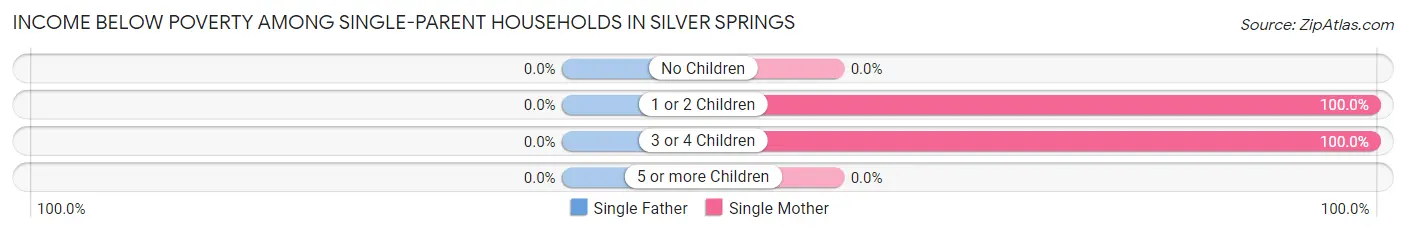 Income Below Poverty Among Single-Parent Households in Silver Springs