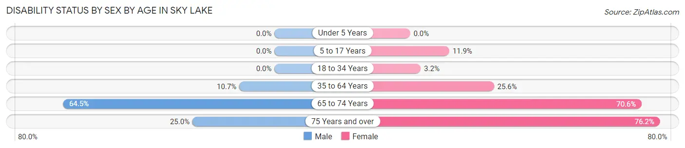 Disability Status by Sex by Age in Sky Lake