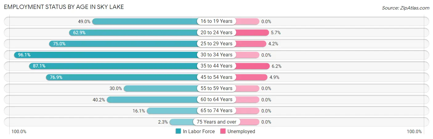 Employment Status by Age in Sky Lake