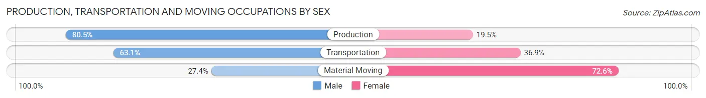 Production, Transportation and Moving Occupations by Sex in Sky Lake