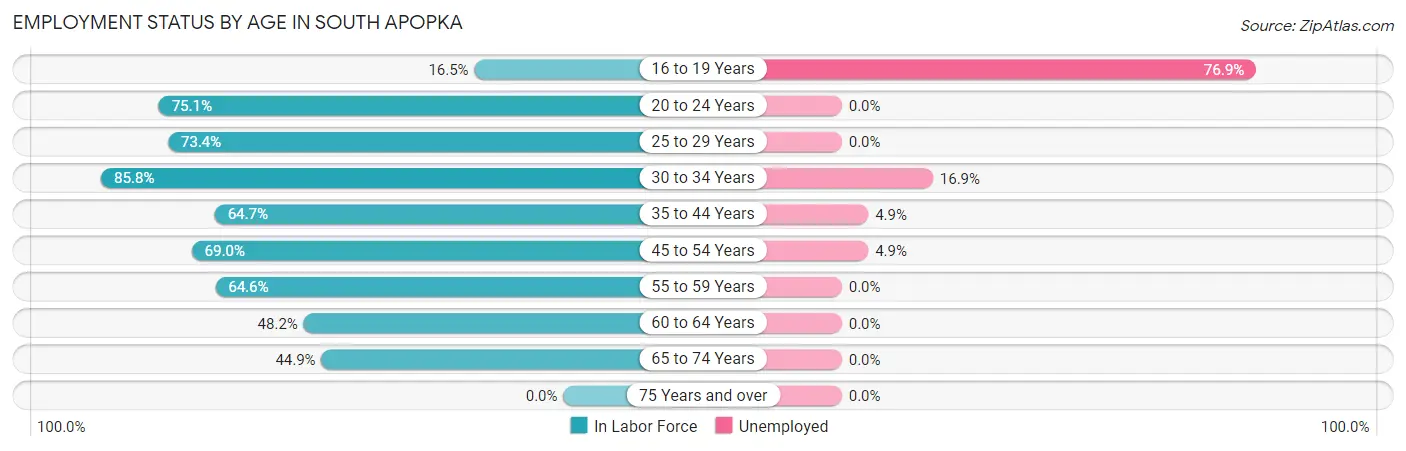 Employment Status by Age in South Apopka