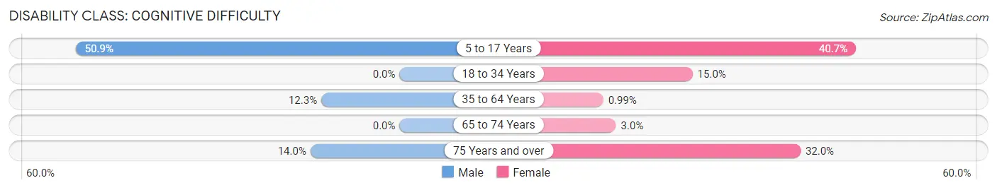 Disability in South Brooksville: <span>Cognitive Difficulty</span>