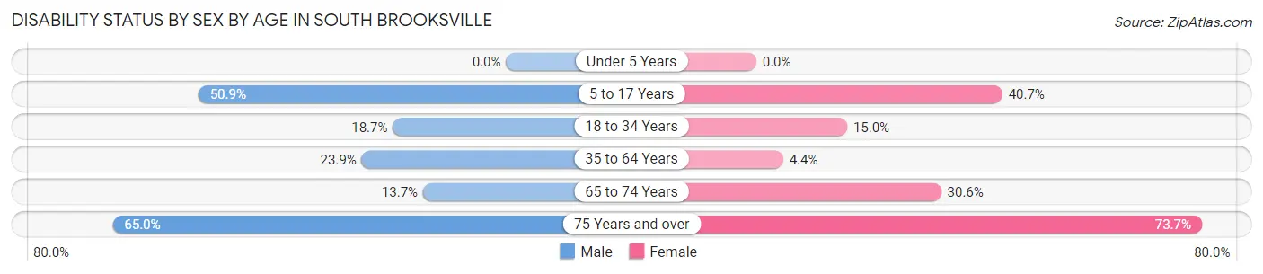 Disability Status by Sex by Age in South Brooksville