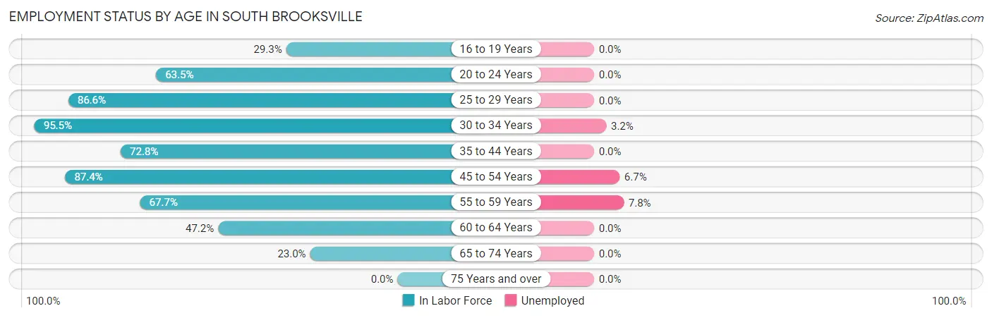 Employment Status by Age in South Brooksville
