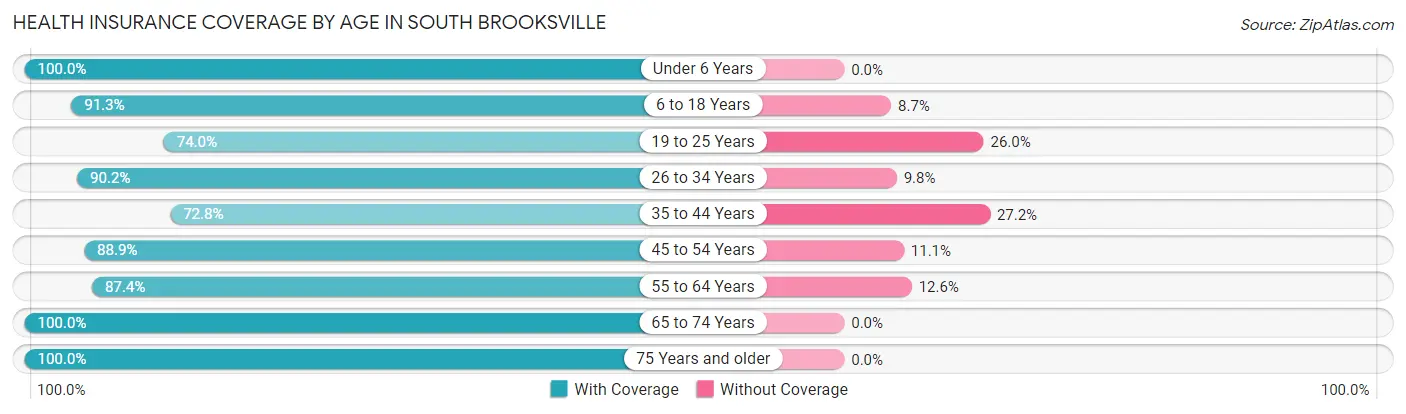 Health Insurance Coverage by Age in South Brooksville