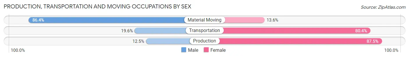 Production, Transportation and Moving Occupations by Sex in South Brooksville