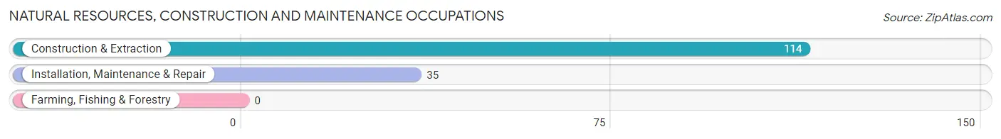 Natural Resources, Construction and Maintenance Occupations in South Sarasota