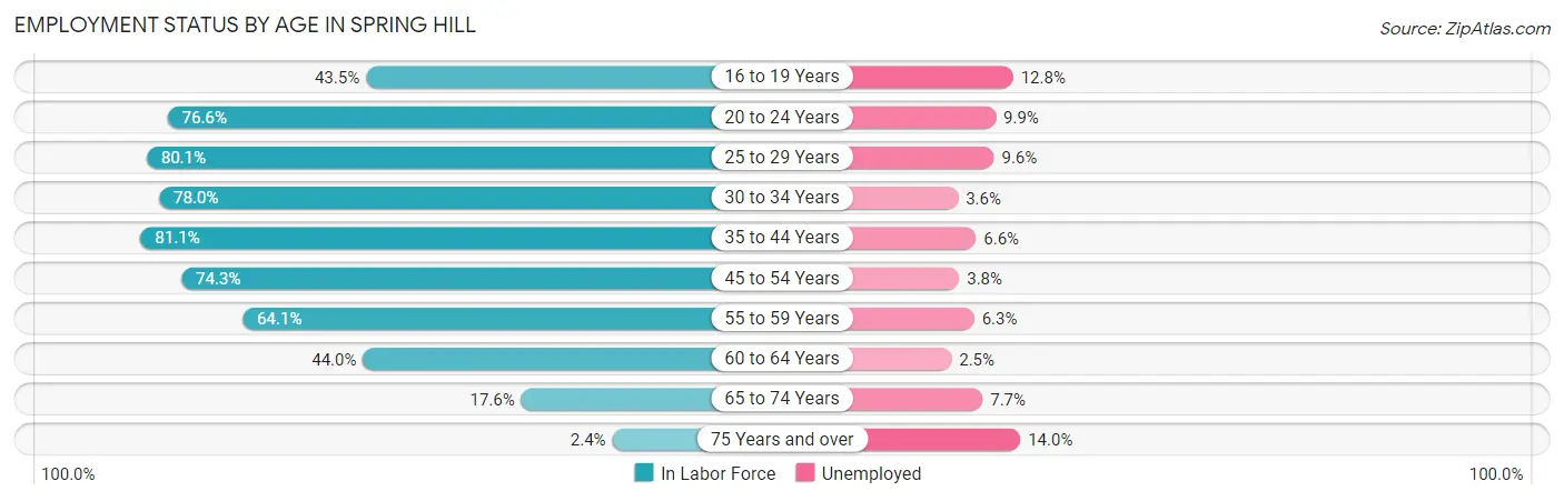 Employment Status by Age in Spring Hill