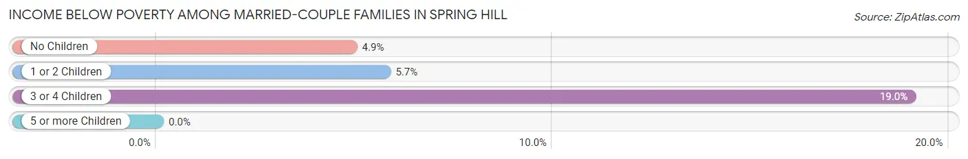 Income Below Poverty Among Married-Couple Families in Spring Hill