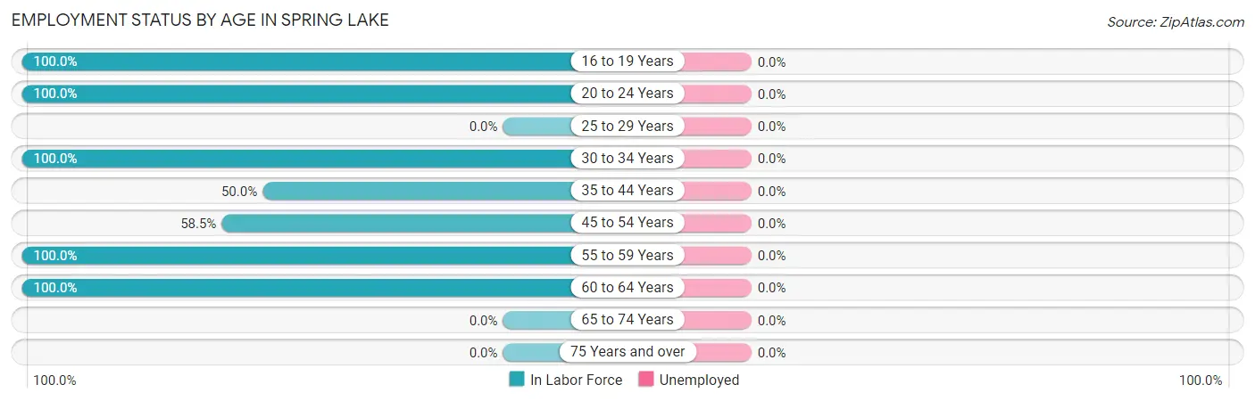 Employment Status by Age in Spring Lake