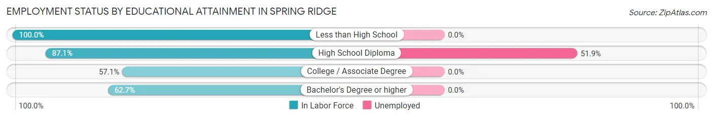 Employment Status by Educational Attainment in Spring Ridge