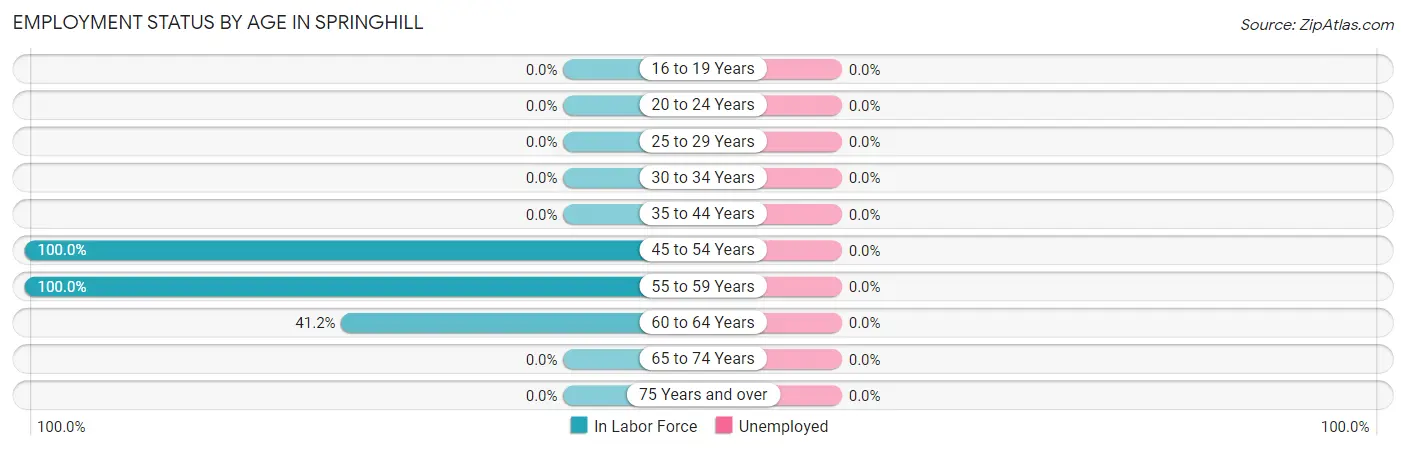 Employment Status by Age in Springhill