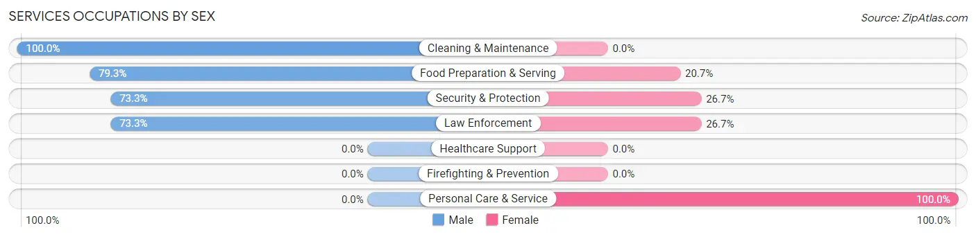 Services Occupations by Sex in St George Island