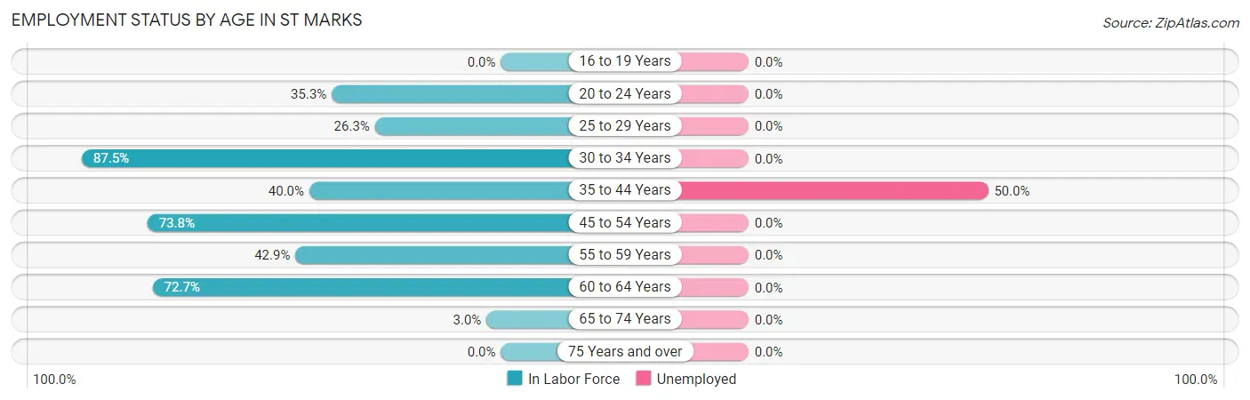 Employment Status by Age in St Marks