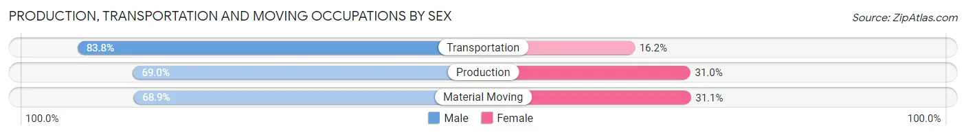 Production, Transportation and Moving Occupations by Sex in St Petersburg
