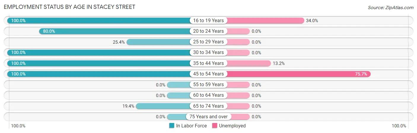 Employment Status by Age in Stacey Street