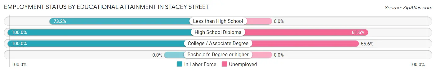 Employment Status by Educational Attainment in Stacey Street