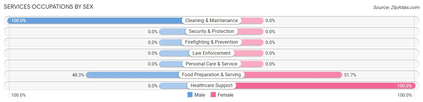 Services Occupations by Sex in Stacey Street