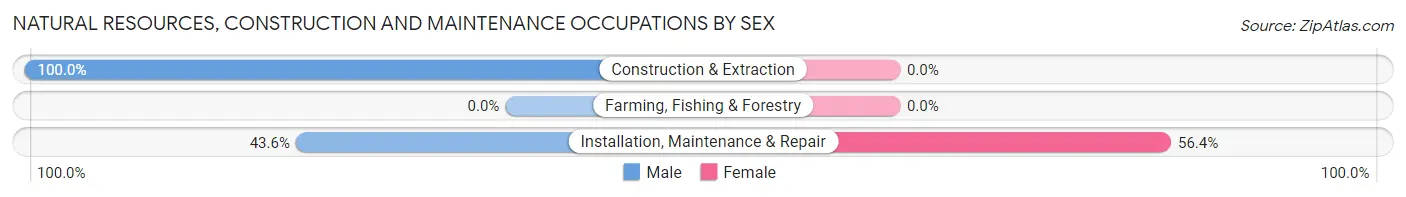 Natural Resources, Construction and Maintenance Occupations by Sex in Starke